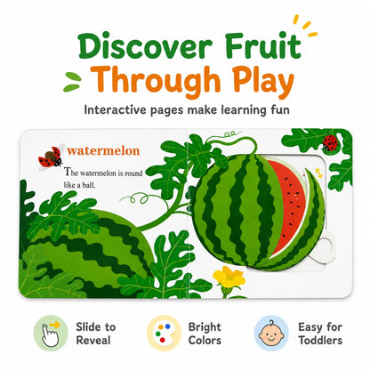 مجموعة كتب Diobee المزودة بأوراق رفع – استكشف وتعلم