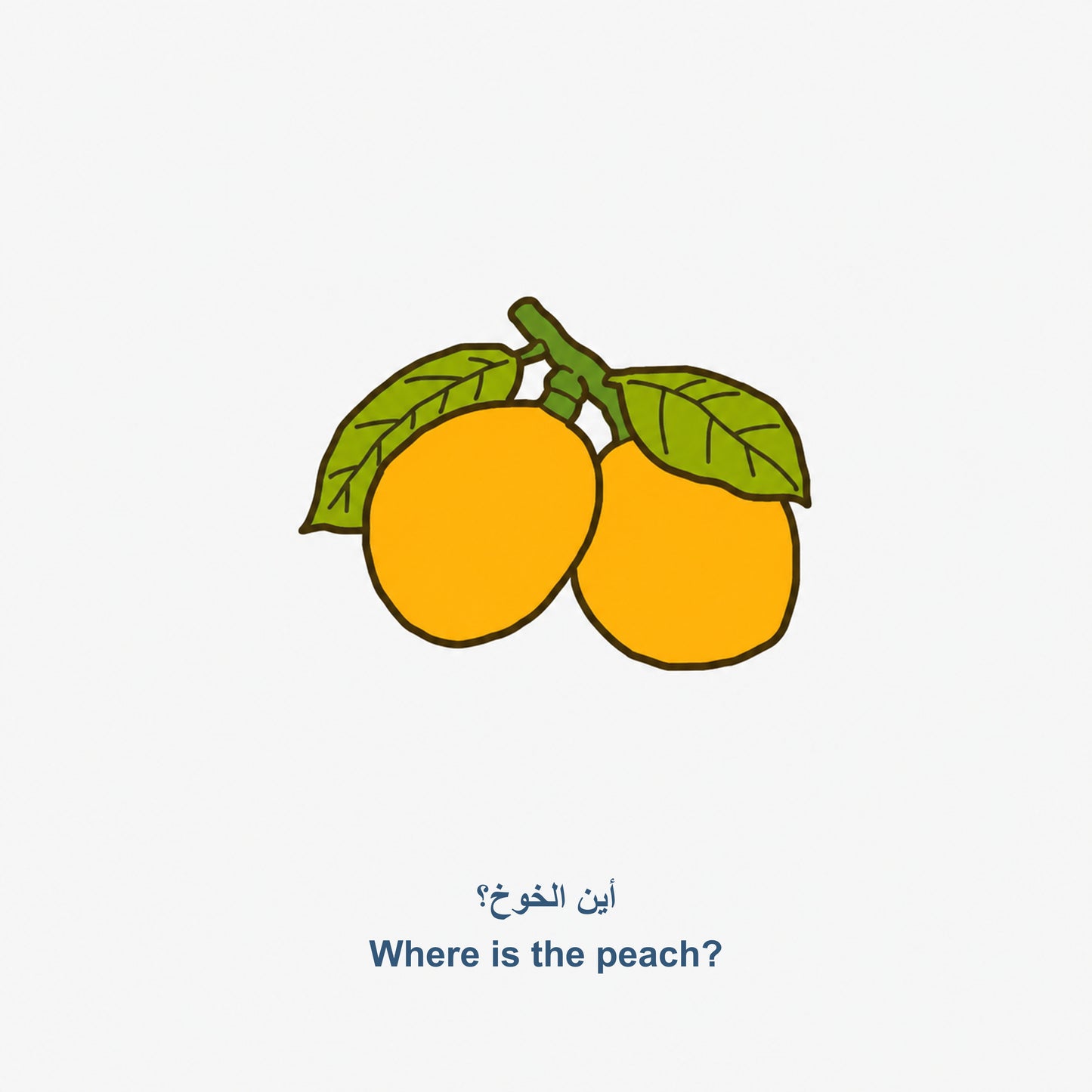 كتاب تعلم الطفل - أين تختبئ الفاكهة